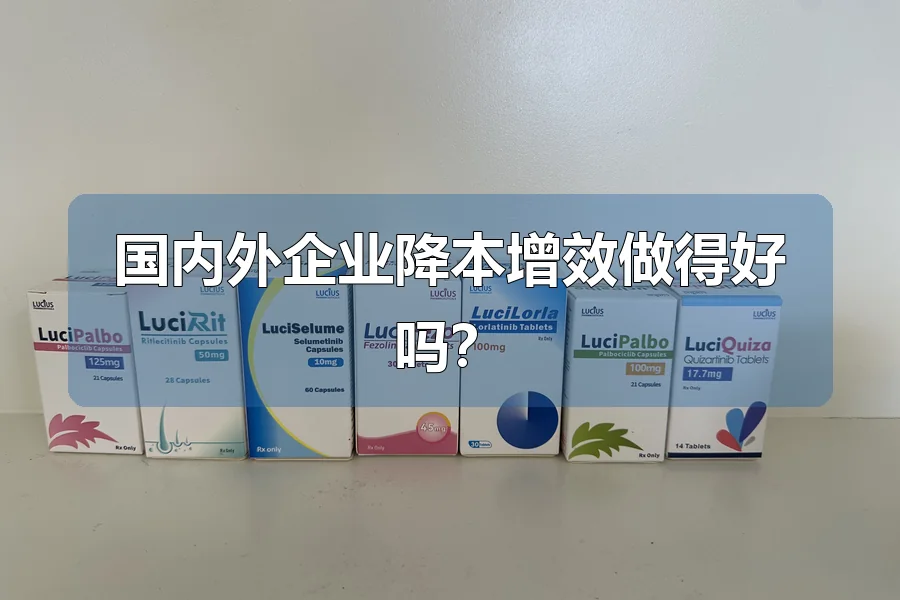 国内外企业降本增效做得好吗？